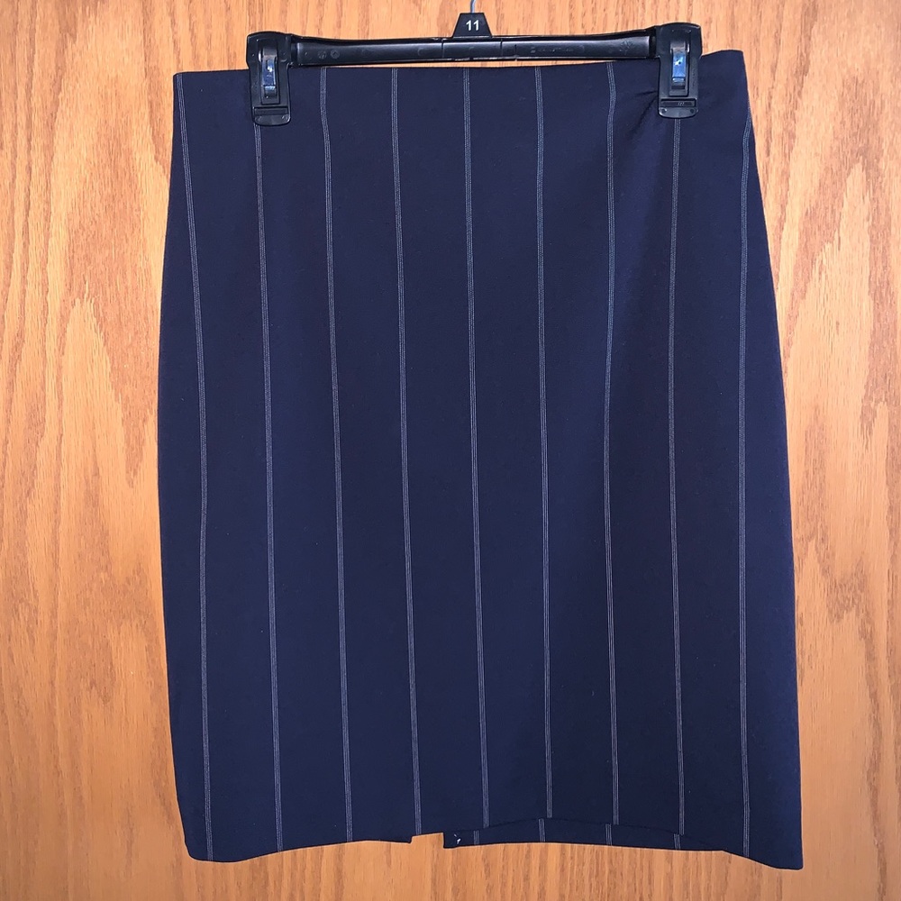 Blue Striped Express Skirt